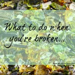 Heart Made Whole: What to Do When You’re Broken